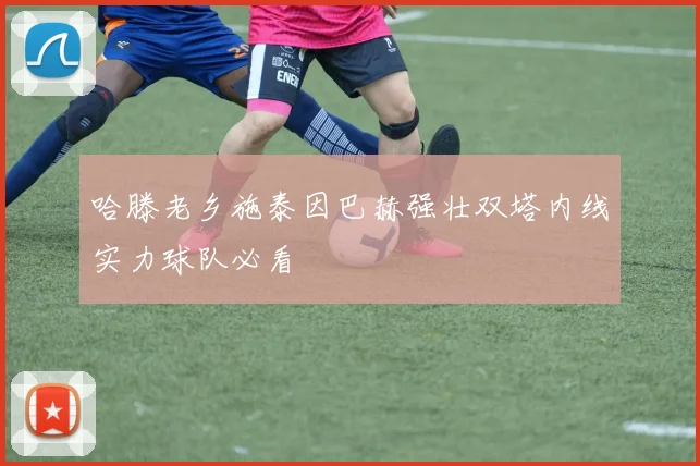 哈滕老乡施泰因巴赫强壮双塔内线实力球队必看