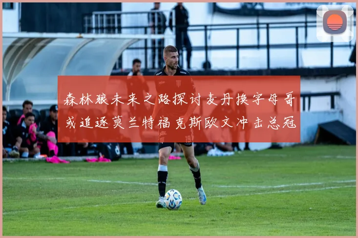 森林狼未来之路探讨麦丹换字母哥或追逐莫兰特福克斯欧文冲击总冠军